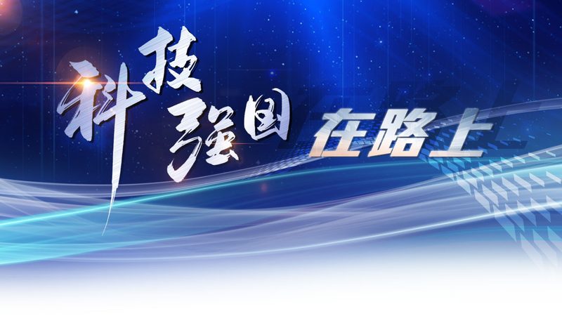 政府数据中台定制开发：构建智慧政府的基石